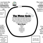 Arizona Science Standards Aligned hands-on STEAM lesson for third graders