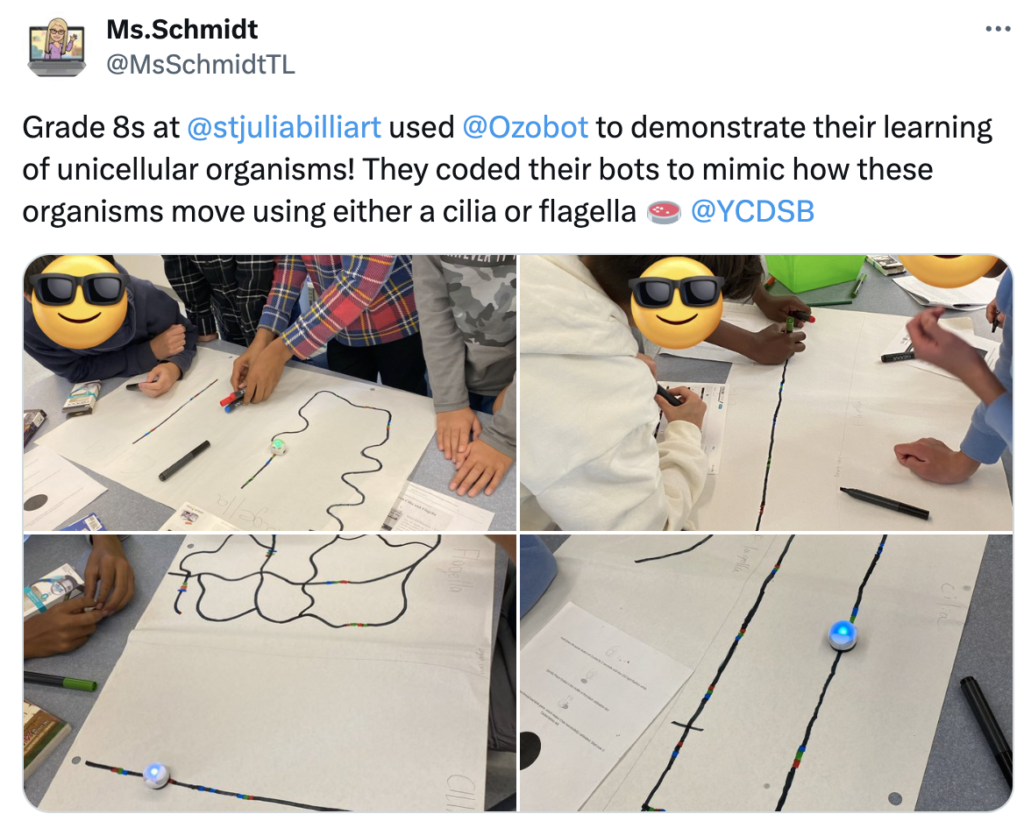 November OzoThings 2024: a picture of Ozobot Organisms coding activity