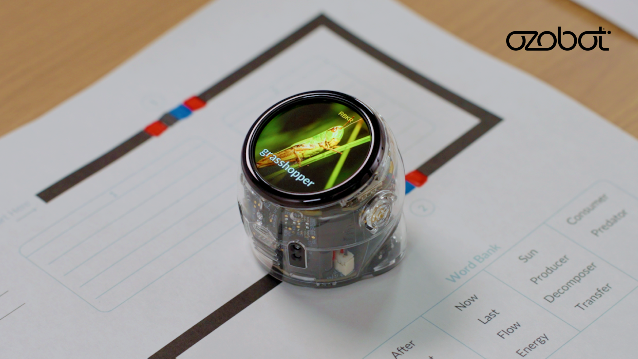 July Lesson Spotlight: STEM activities for summer learning by Ozobot