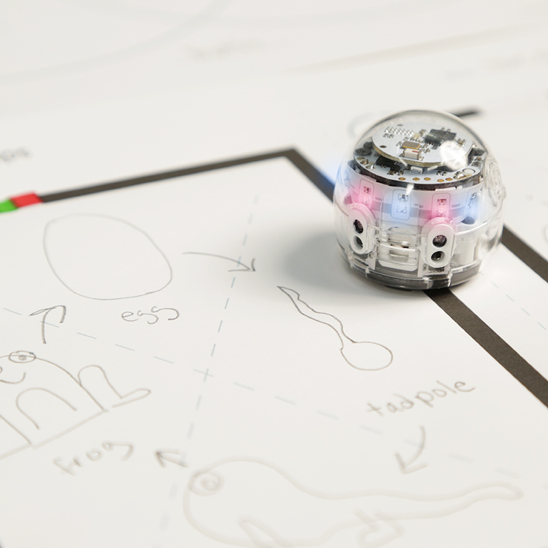 5 Steps to Get Started with Ozobot — Imagineer STEAM